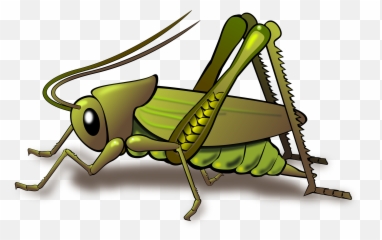 Cricket Clipart Sound Cricket Sound - Body Parts Of Grasshopper Emoji,Crickets Emoji