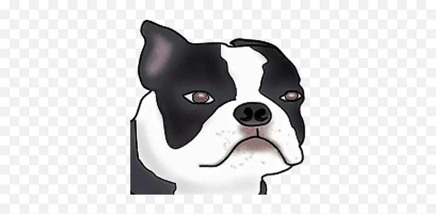 Boston Terrier - Stickers For Whatsapp Boston Terrier Emoji,Devianart Emojis