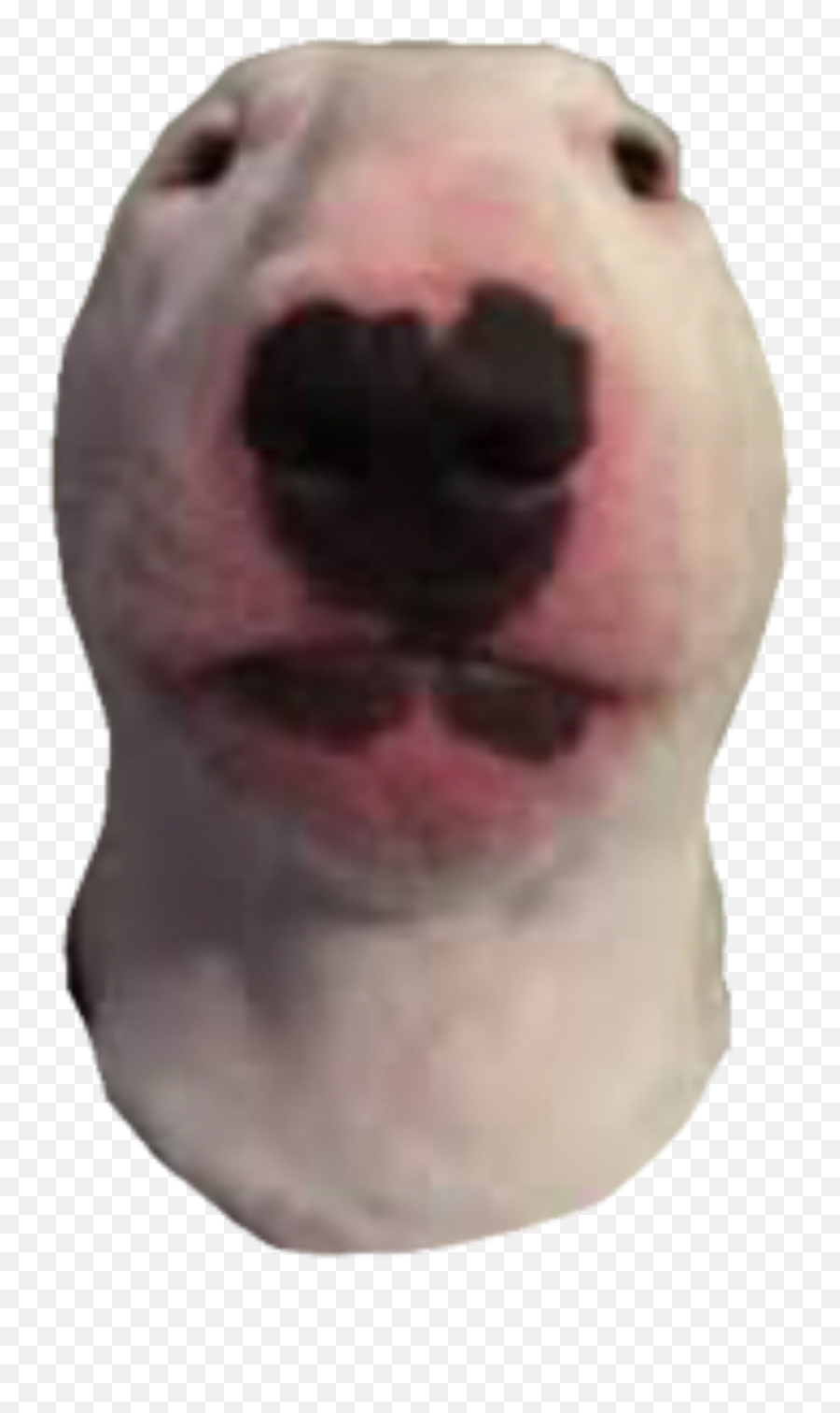 The Most Edited Amolad Picsart - Ugly Emoji,Bull Terrier Emojis