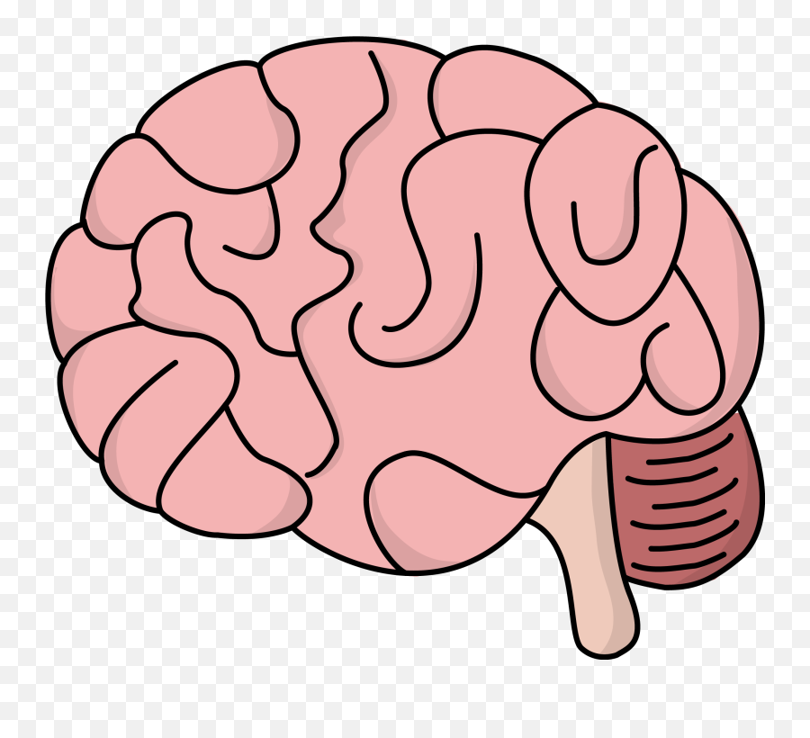 Human Brain Free Content Clip Art - Brain Cliparts Brain Clipart Transparent Background Emoji,Brain Emoji