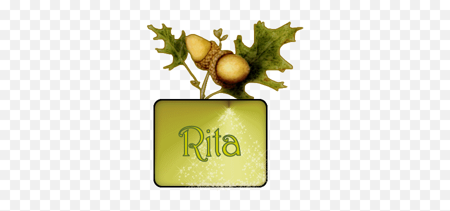 Rita Name Graphics And Gifs - Acorn Emoji,Emoticon Del Nacimiento De Jesus