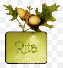 Rita Name Graphics And Gifs - Acorn Emoji,Emoticon Del Nacimiento De Jesus