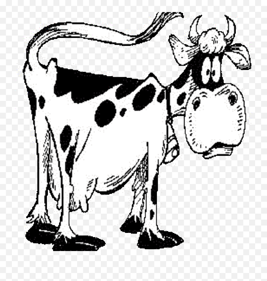 Cow Facts And Cow Trivia - Hubpages Emoji,Emily Pocine Emotions In Others