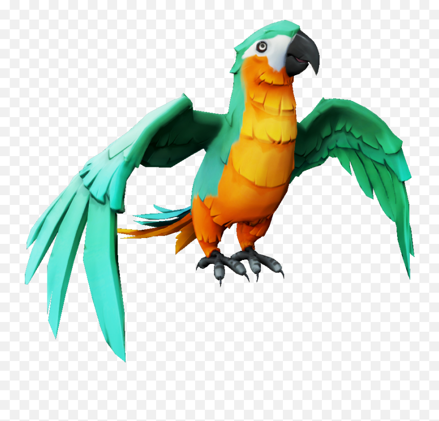 Parrots The Sea Of Thieves Wiki Emoji,Parrot Emotion Signs