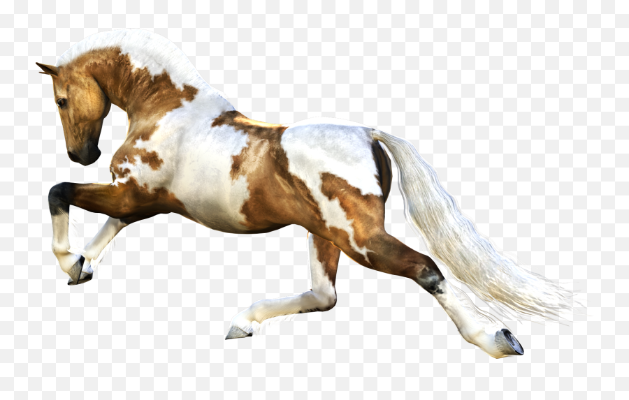 Animal Horse Png Transparent 11 - Horse Running Png Emoji,Horse Emoji Transparent
