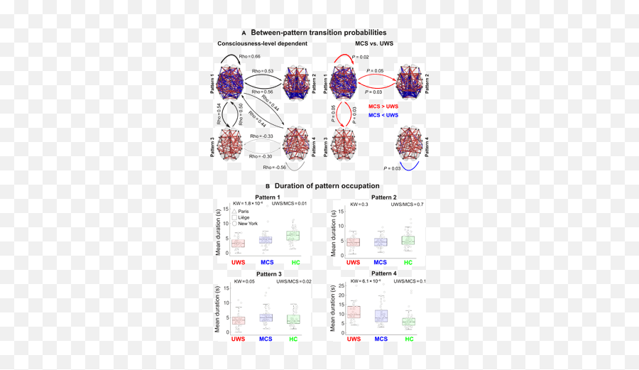 Human Consciousness Is Supported By Dynamic Complex Patterns - Language Emoji,Aveo Emotion Tuning Ecuador