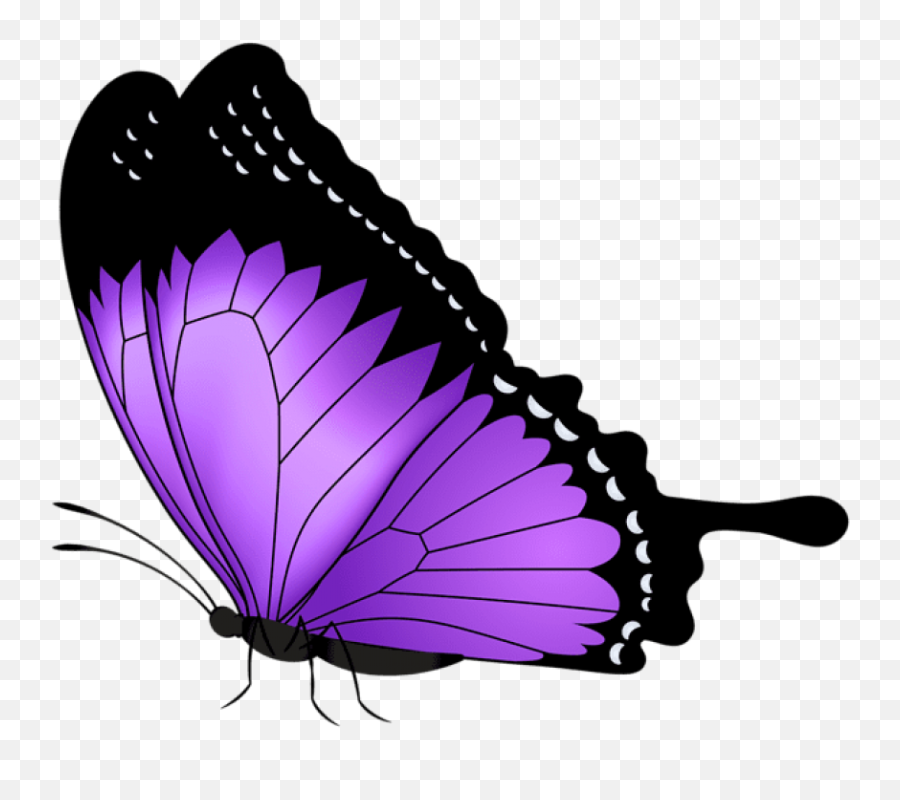 Download Purple Butterfly Transparent - Transparent Background Purple Butterfly Clipart Emoji,Butterfly Emoji Png