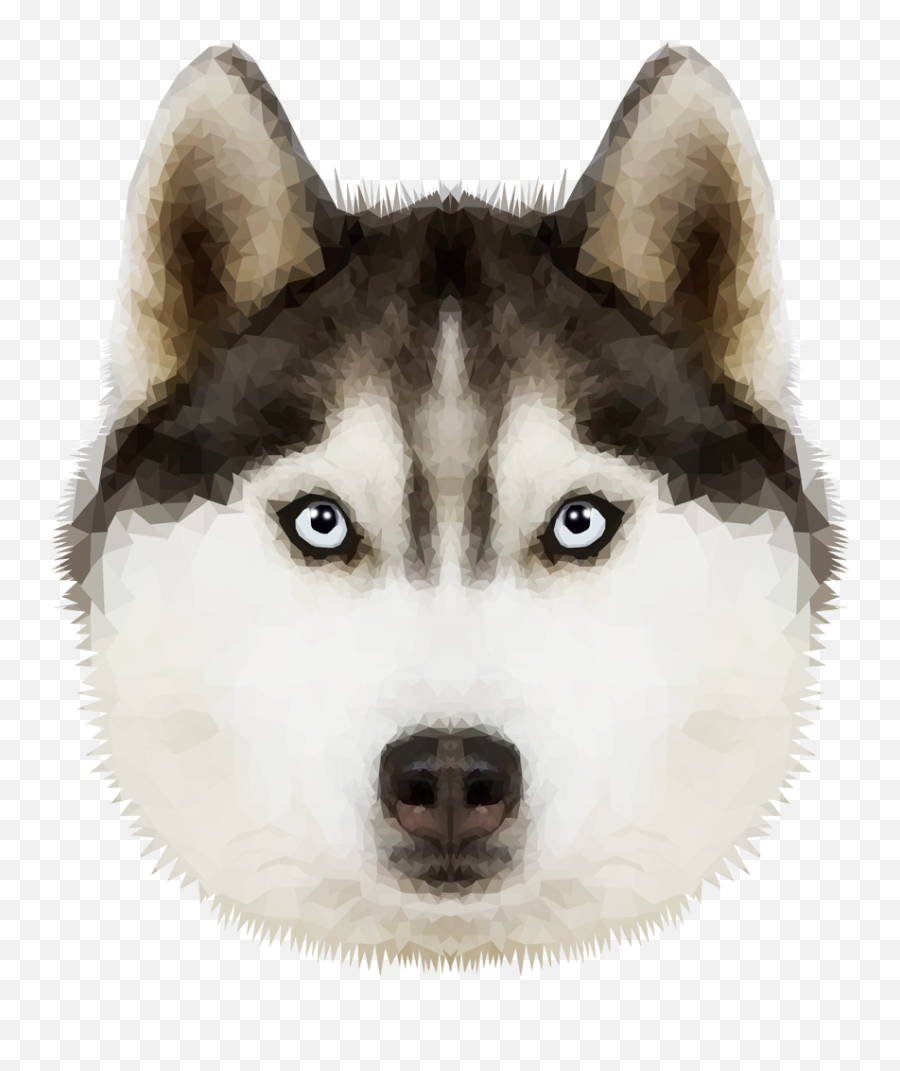 Husky Png Transparent Image - Siberian Husky Face Png Emoji,Husky/border Collie Emoji