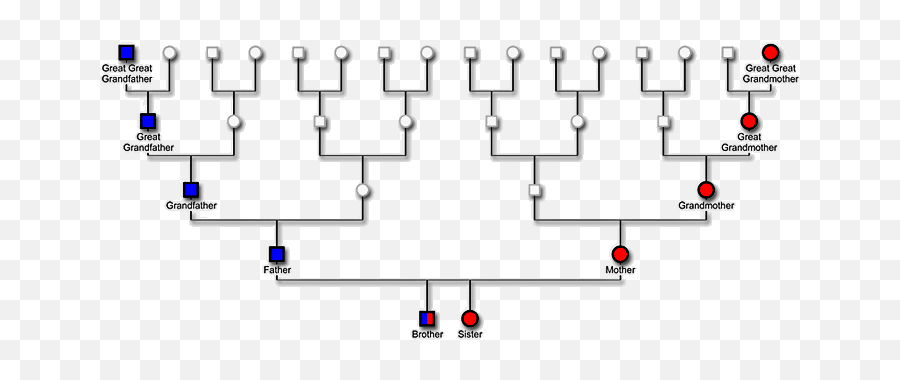 Proving Native American Ancestry Using - X Chromosome Gene Test Emoji,Grandfather Letter To Grandson Emotion