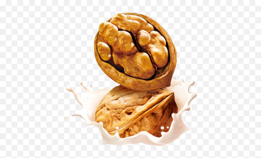 The Most Edited Walnut Picsart - Walnut Milk Png Emoji,Walnut Emoticon