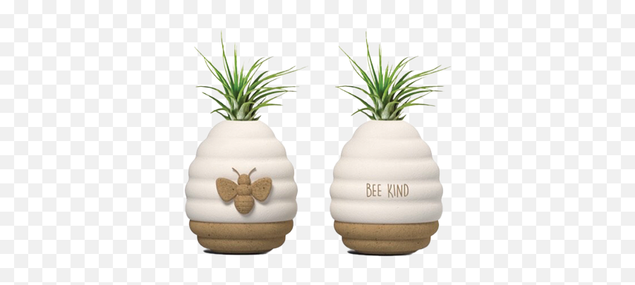 Beyou By Livetrends Design - Bee Kind Indoor Live Plant Easy Care Tillandsia Walmartcom Vertical Emoji,Dragon Nest Mobilr Emoticons