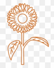 Sun Png U0026 Svg Transparent Background To Download - Otaru Yogastudio Yuju Emoji,Flower Emojis Ong