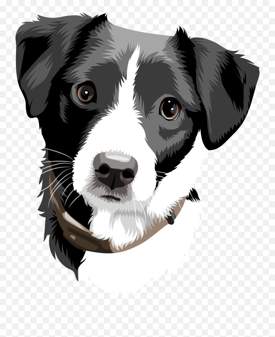 Ideas In - Digital Drawings Of Dogs Emoji,Deviant Art Face Emotions Drawing Practice