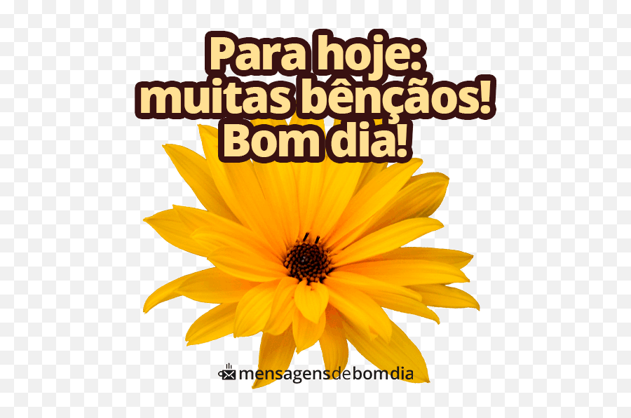 Frases Sobre A Vida Para Deixar O Dia Leve U2014 Mensagens De Emoji,Bom Dia E Um Abençoado Domingo Emoticons