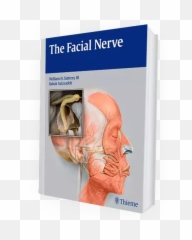 Bellu0027s Palsy U0026 Facial Paralysis Surgeon The Facial Emoji,Anatomy Of Emotions Book