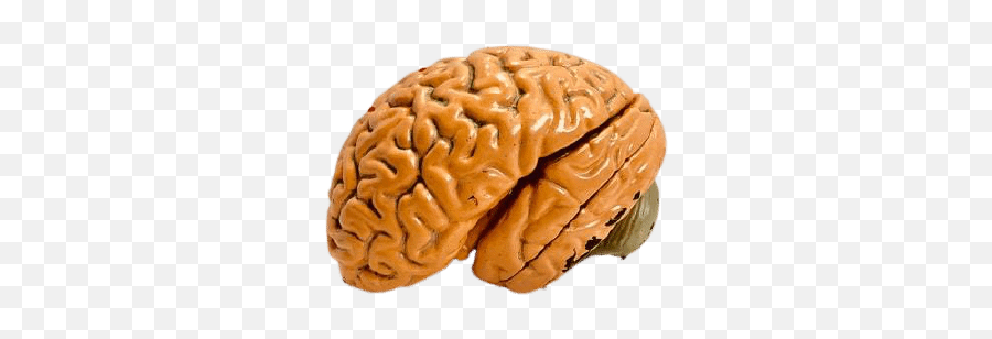 Investor Mind Your Market Mind U2022 White Top Investor Emoji,Don't Confuse Emotion With Weakness Investor Mind Your Market Mind U2022 White Top Investor Emoji,Don't Confuse Emotion With Weakness