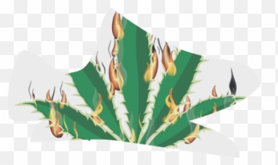 Flaming Marijuana Leaf Grus Menu0027s Breathable Woven Running Emoji,Pot Leef Emoji