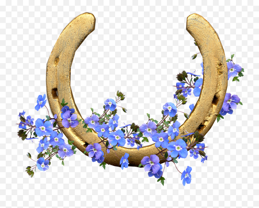 Horse Shoe Blue Flowers Lucky - Horse Shoe With Flowers Emoji,Horseshoe Emoji