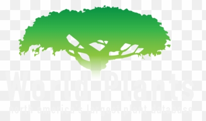World Plants - Language Emoji,Coleus Emotions Passionate