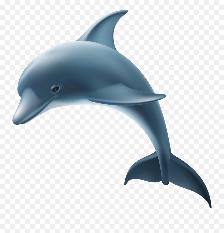 Mean Dolphin Emoji,Dolphin Emoji