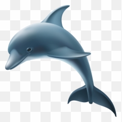 Mean Dolphin Emoji,Dolphin Emoji