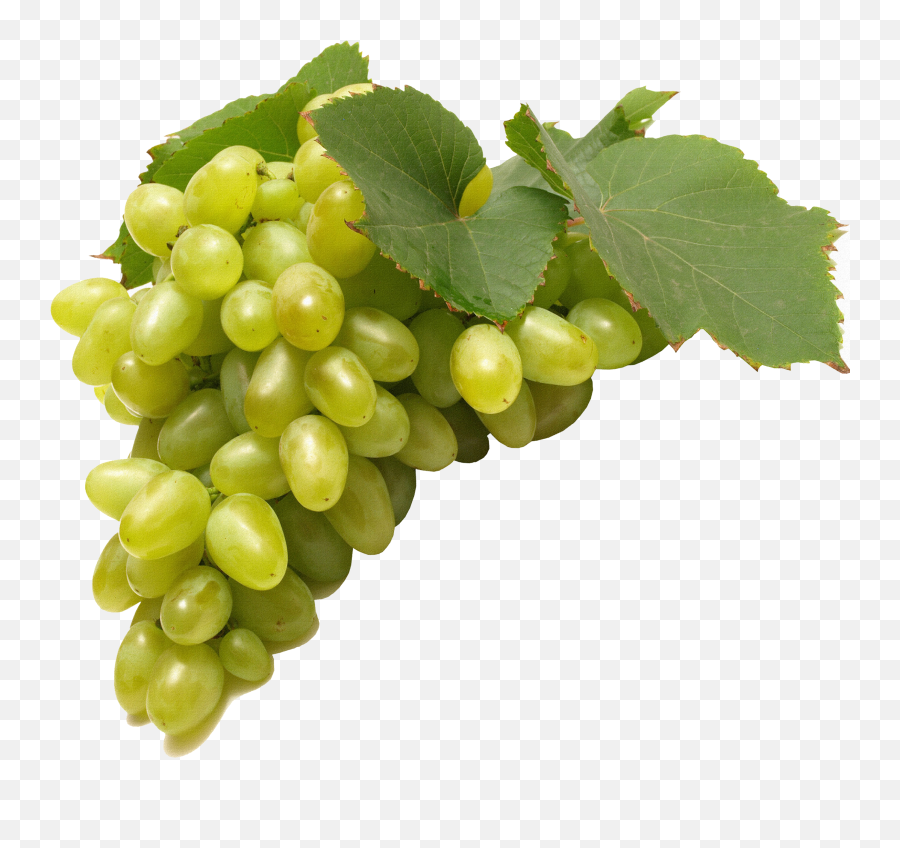 17 Best Green Grapes Ideas Green Grapes Grapes Green - Powerology Food And Nutrition Scale Emoji,Facebook Emoticons Grapes