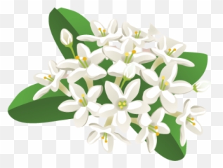 Filipino Fun By Whimsicode - Philippine National Flower Clip Art Emoji,Phillipines Flag Emoji