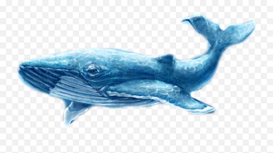 Whale Whales Fish Dolphin Ocean Sea Emoji,Whale Emoji Plush