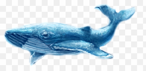 Whale Whales Fish Dolphin Ocean Sea Emoji,Whale Emoji Plush