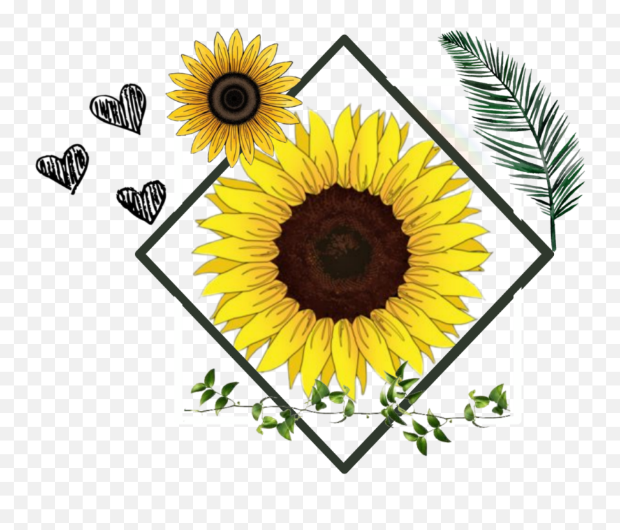 The Coolest Flowers Stickers On Picsart - Decorative Emoji,Flower Emoji Symbol