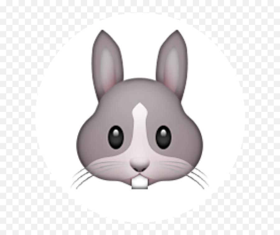 Jessica Davies Emoji - Libs Web Development Emojis Do Whatsapp Animais,Emoji Translator