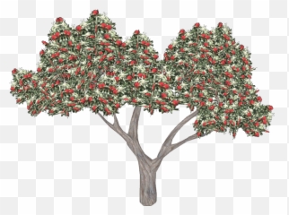 Trees - Tree Emoji,Bohemian Rhapsody Copypasta Emoji