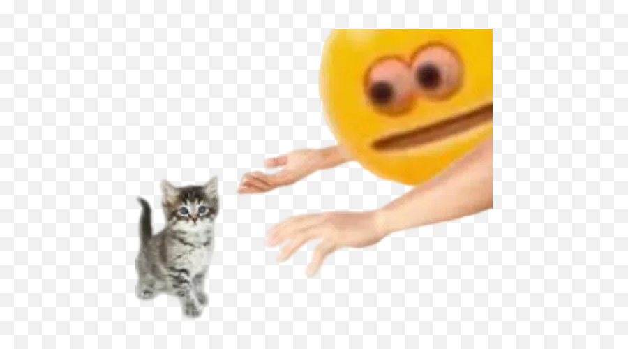 Memes Stickers For Whatsapp Page 3 - Stickers Cloud Cursed Emoji Holding Cat,Cursed Emoji Meme