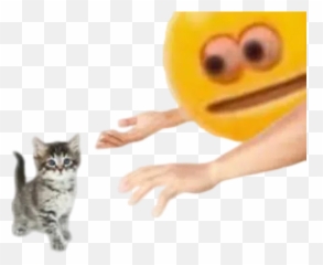 Memes Stickers For Whatsapp Page 3 - Stickers Cloud Cursed Emoji Holding Cat,Cursed Emoji Meme