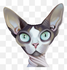 How Hairy Is Your Sphynx Sphynxlair Emoji,G920t No Emoji