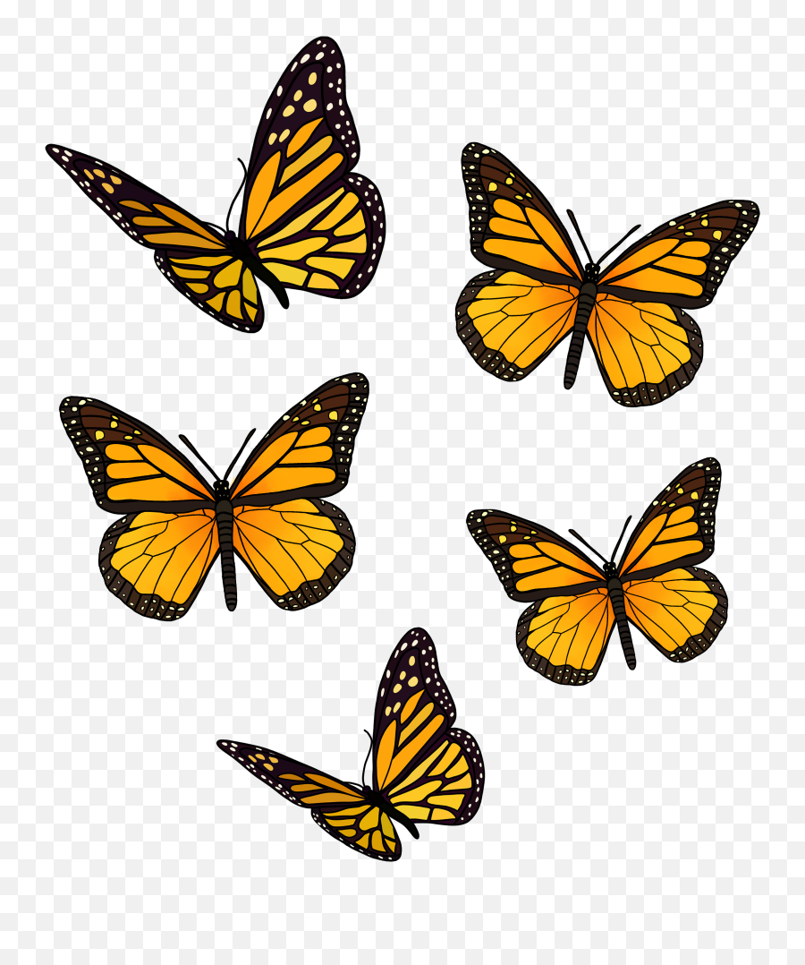 Yellow Butterfly Packu0027 Sticker By Jadydesigns In 2021 - Angangueo Emoji,Kyocera Hydro Wave Emojis