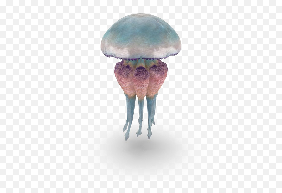 Jellyfish Free Png Image Png Arts Emoji,Jellyfish Emoji