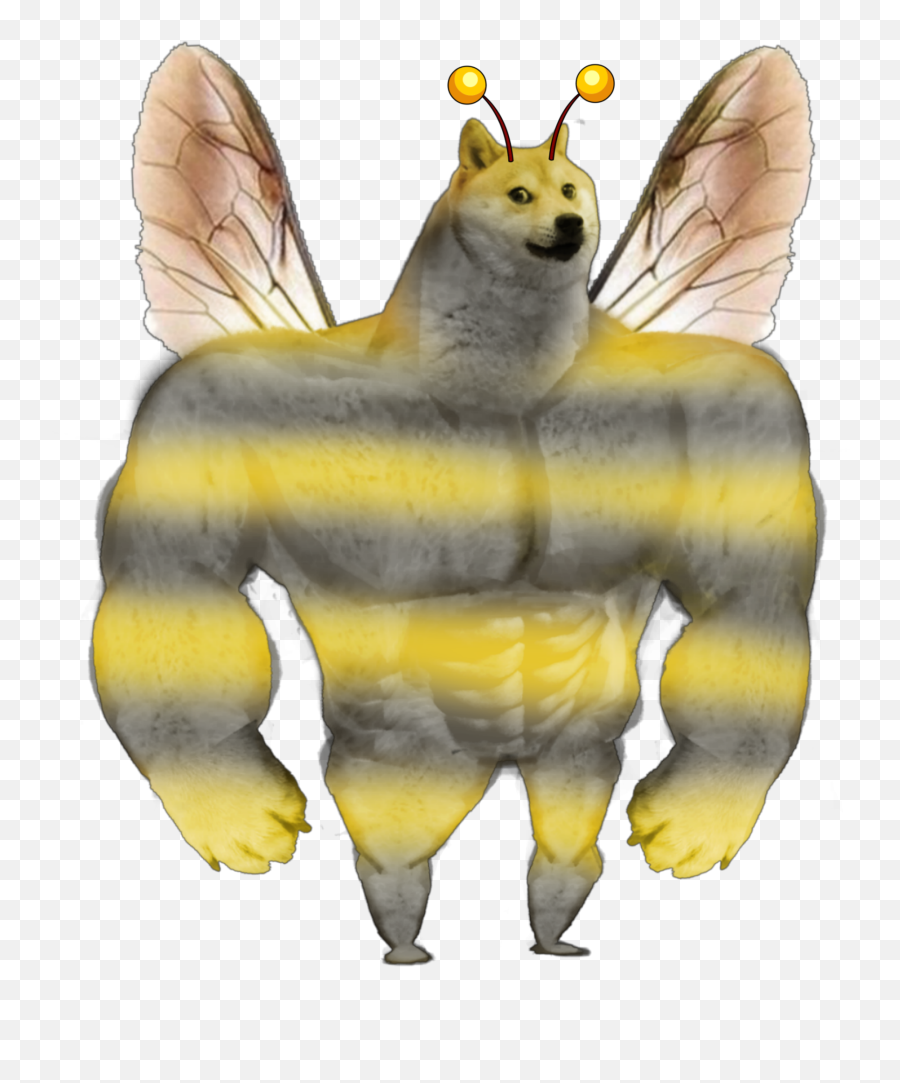 Swole Doge Bee Sticker - Honey Bee White Background Emoji,Doge Emoji