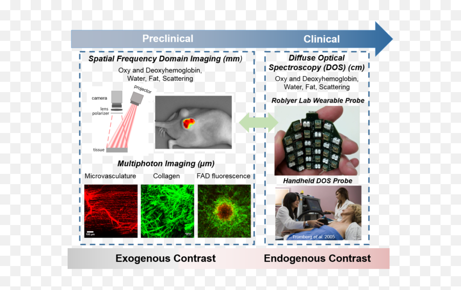 Biomedical Optical Imaging - Dot Emoji,Psychology Mcat Schacter-singer Theory Of Emotion