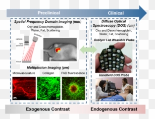 Biomedical Optical Imaging - Dot Emoji,Psychology Mcat Schacter-singer Theory Of Emotion