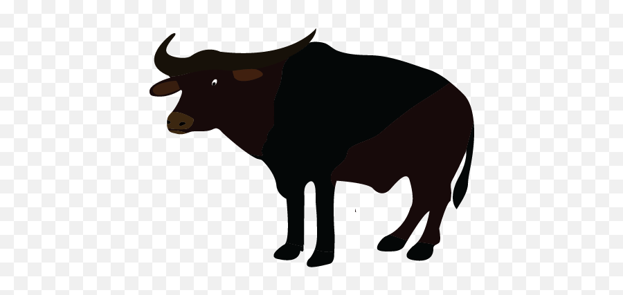 Water Buffalo American Bison African - Clipart Buffalo Transparent Emoji,Bison Emoji