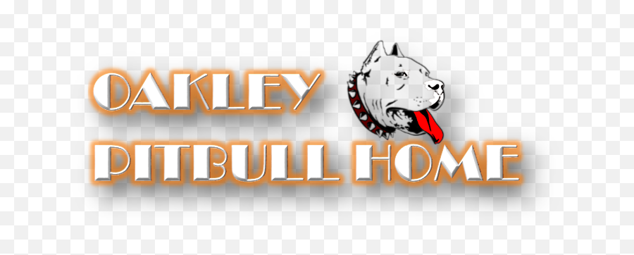 Oakley Pitbull Home For Adoption Emoji,Pitbulls Read Emotion