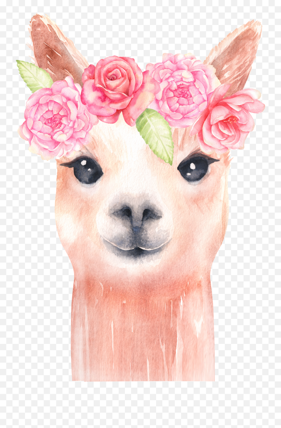 Llama Watercolor Clipart Alpaca - Llama With Flower Crown Emoji,Llama Emoji