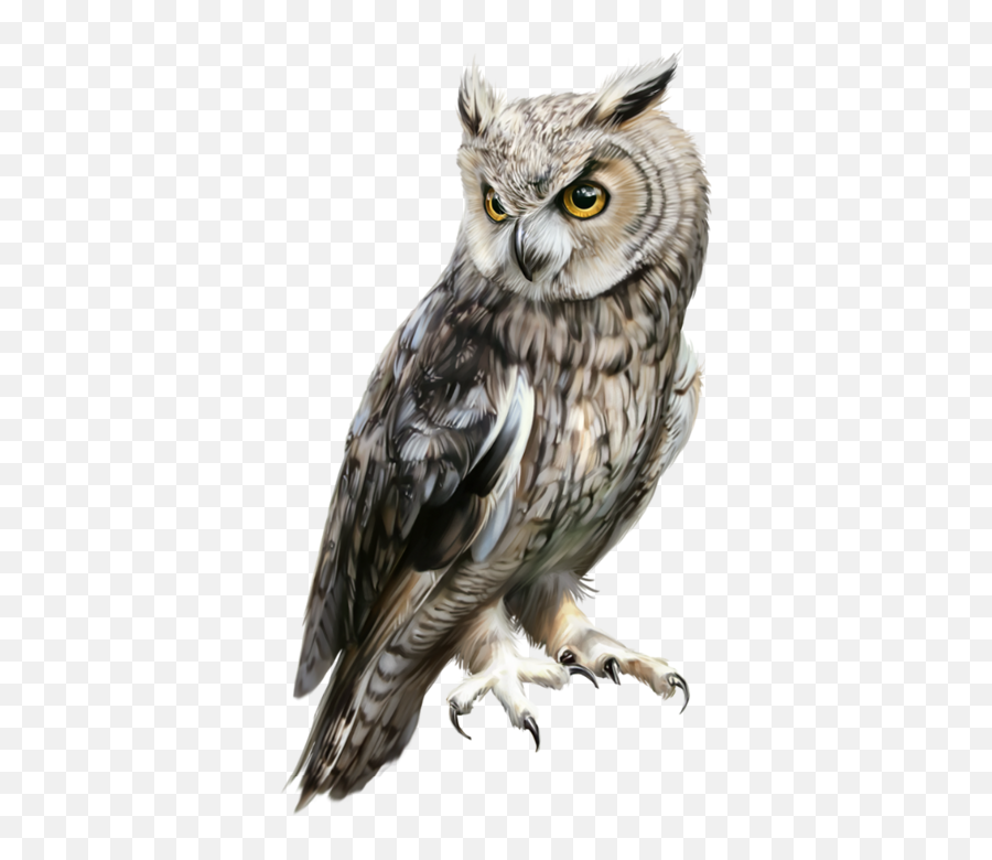 Pin - Great Horned Owl High Resolution Owl Emoji,Owl Emotion Vectors
