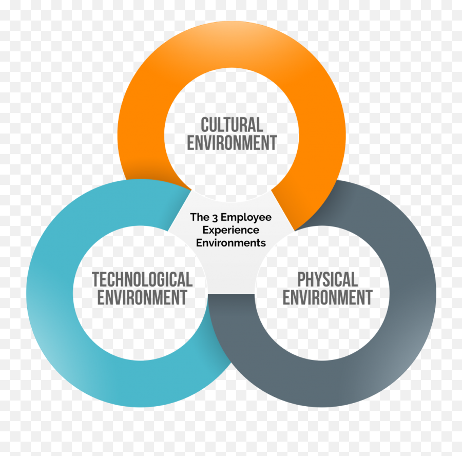 Every Employee Experience - Employee Experience Environments Emoji,Three Main Elements That Make Up The Definition Of Emotion