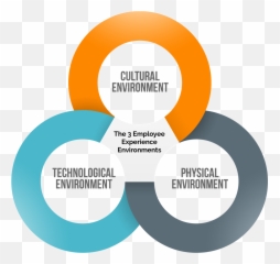 Every Employee Experience - Employee Experience Environments Emoji,Three Main Elements That Make Up The Definition Of Emotion