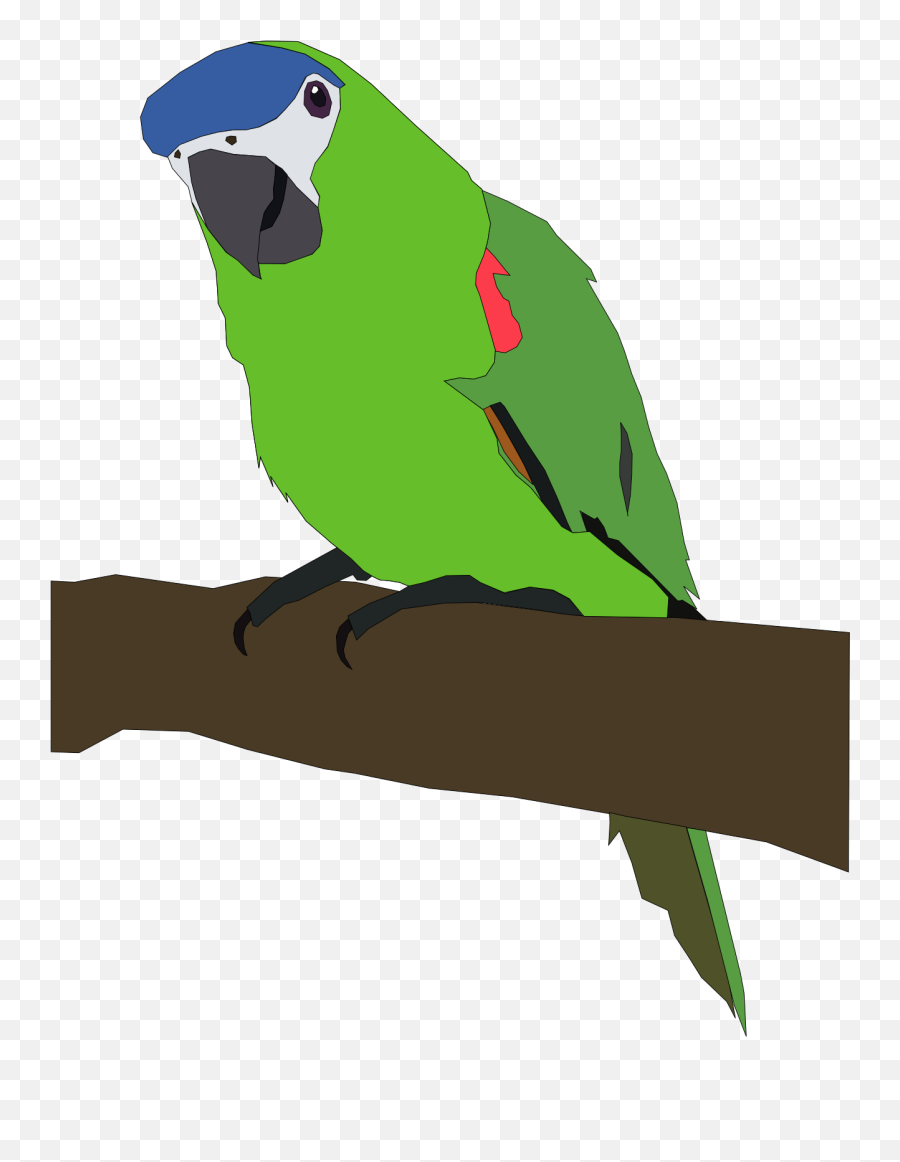 Clipart Parrot - Clipartsco Parrot Clip Art Emoji,Parrot Emoji