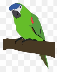 Clipart Parrot - Clipartsco Parrot Clip Art Emoji,Parrot Emoji