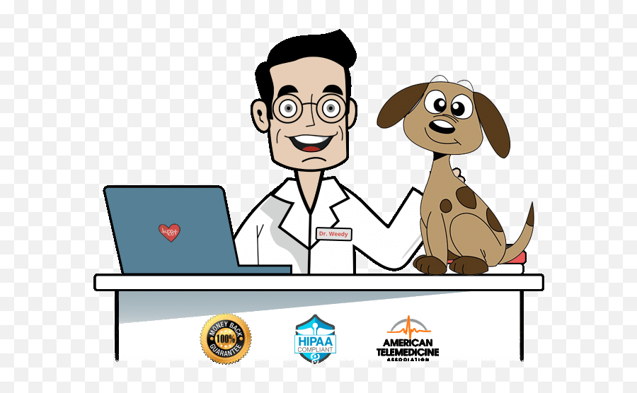 Get Emotional Support Animals Letter Online In Wyoming - Esa Emoji,Emotions Cartoon Letters