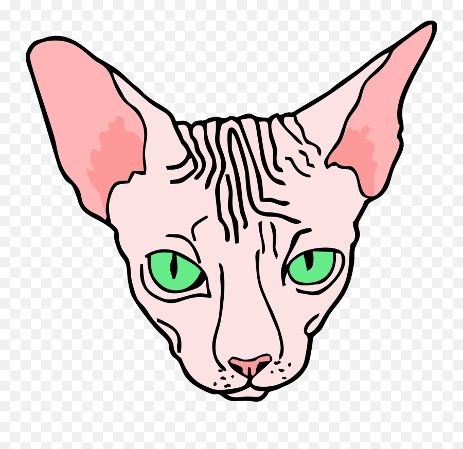 400 Free Angry U0026 Smiley Vectors - Pixabay Sphynx Cat Art Png Emoji,Cat Fist Emoji